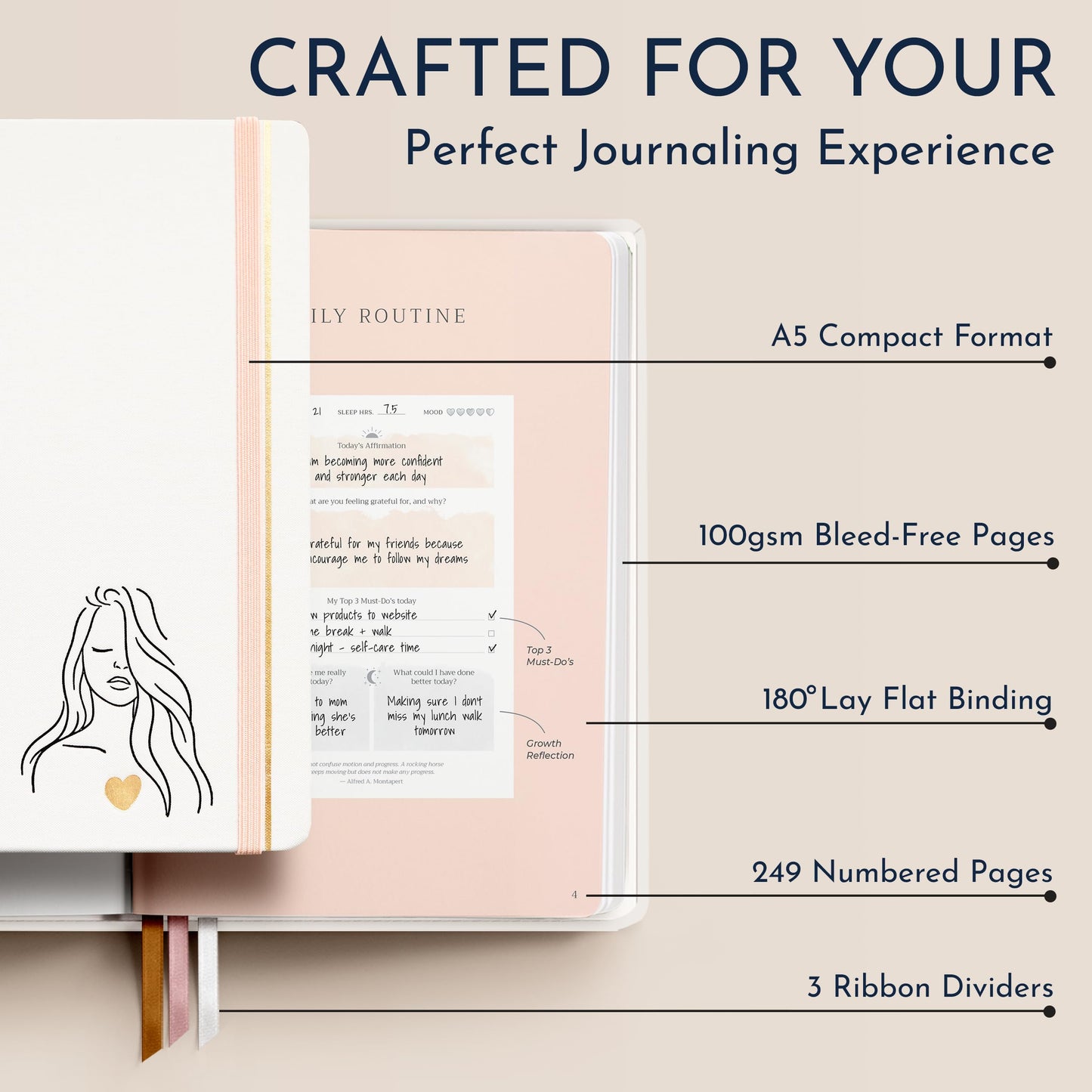 Infographic of the journals paper type, and quality. 