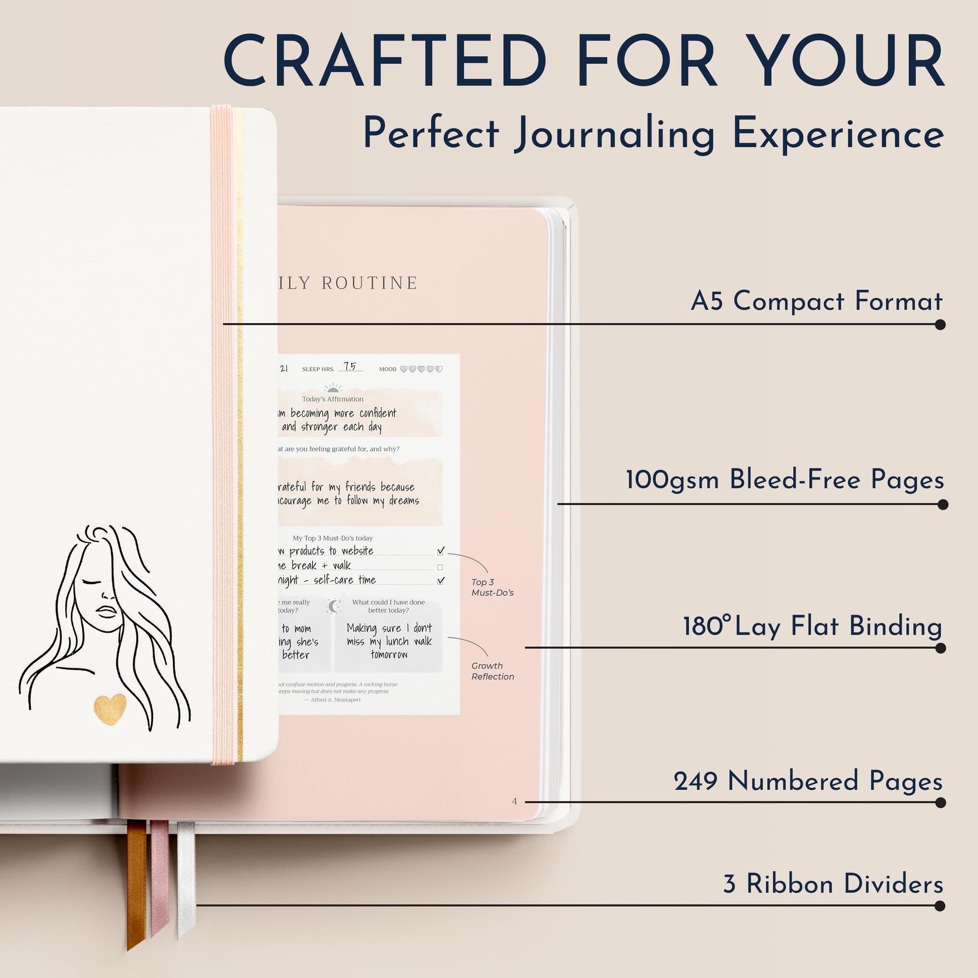 Infographic of the journals paper type, and quality. 